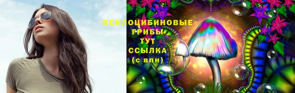 гидра Белоозёрский