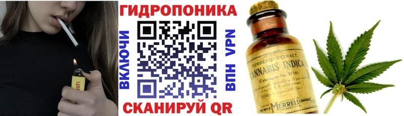 Шишки марихуана MAZAR хочу наркоту Козьмодемьянск